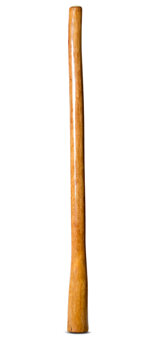Gloss Finish Flared Didgeridoo (TW1059)